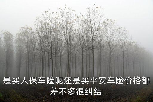 是買人保車險呢還是買平安車險價格都差不多很糾結