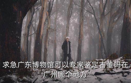 廣州市博物館文物專家，廣州那里文物鑒定比較好