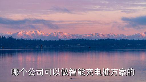 廣州充電樁saas平臺廠家，哪個公司可以做智能充電樁方案的