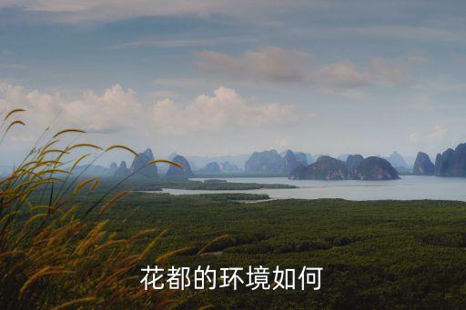 廣州花都環境衛生，花都的環境如何
