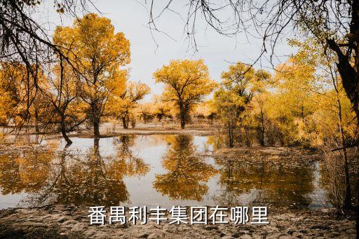 番禺利豐集團在哪里