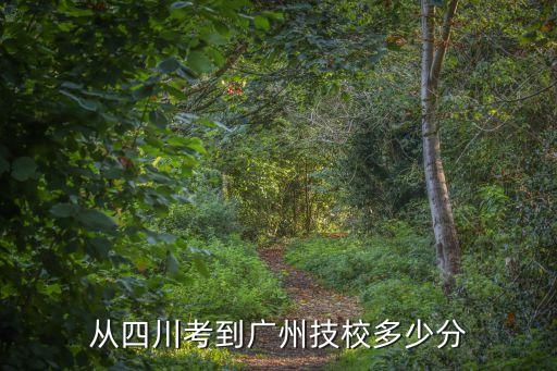廣州技校學需要多少分數，從四川考到廣州技校多少分
