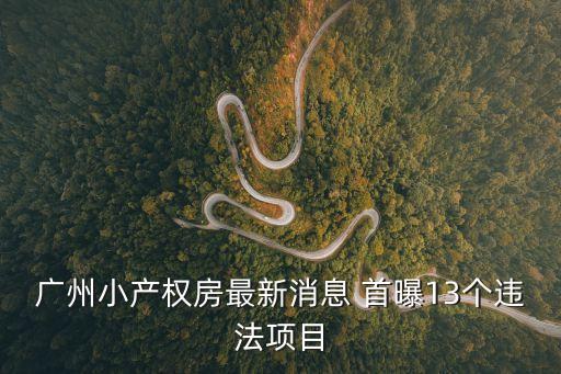 廣州小產權房最新消息 首曝13個違法項目