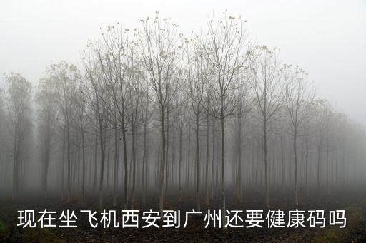 去廣州需要申請粵康碼嗎，現在坐飛機西安到廣州還要健康碼嗎