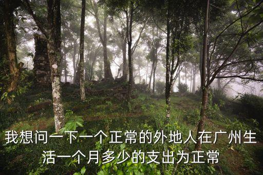 廣州外來人的生活，外地人在廣州這個城市生活和工作怎么樣