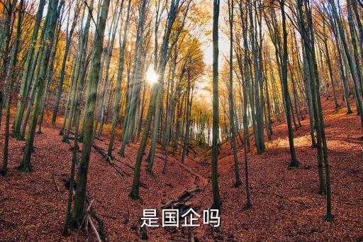 廣州錦繡控股是國企嗎，我不是很明白為什么說他是國企呢從控股上可以看出來嗎