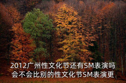 2019廣州x文化節內衣秀下，2012廣州性文化節還有SM表演嗎會不會比別的性文化節SM表演更