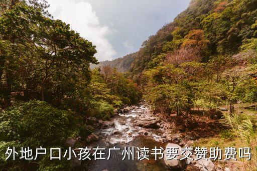 廣州上學贊助費，廣州小學贊助費一般收多少