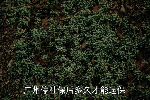 廣州停社保后多久才能退保