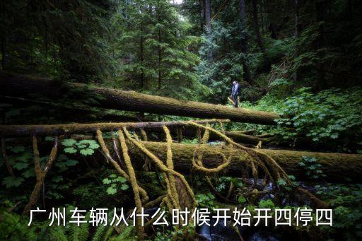 廣州市區四月份有沒有開四停四，廣州車輛從什么時候開始開四停四