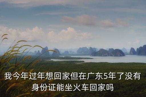 湖北人來廣州可以回家嗎，我是湖北人將要去廣州鐵路局工作請問我明年能回家過年嗎  搜
