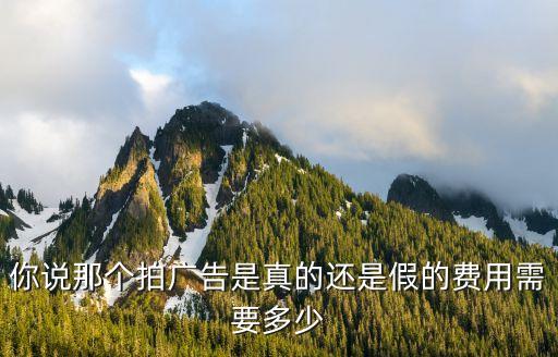 廣州和善傳媒廣告有限公司，你說那個拍廣告是真的還是假的費用需要多少