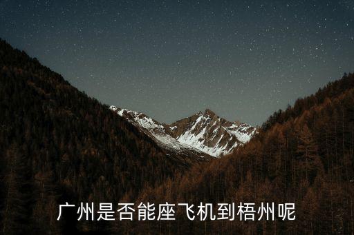 廣州坐飛機可以嗎，廣州可以坐飛機到荊州嗎