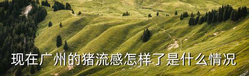 廣州這次為啥有那么多無癥狀，這樣是不是代表他對我沒感覺