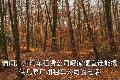 廣州錦鴻車隊租車，廣州租車哪家好