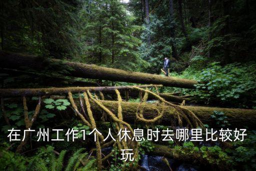 廣州自我游工作，自我游是做什么的