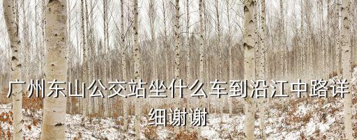 廣州東山公交車站，廣州東山總站有幾路公交車到