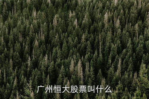廣州恒大股票叫什么