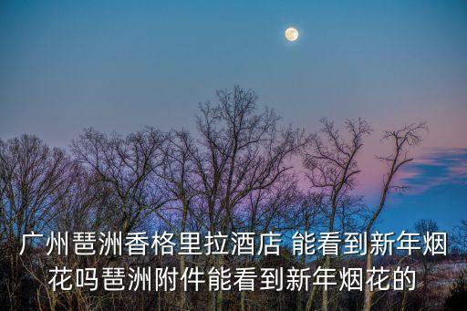 廣州琶洲香格里拉酒店 能看到新年煙花嗎琶洲附件能看到新年煙花的