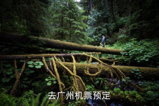 去廣州機票預定