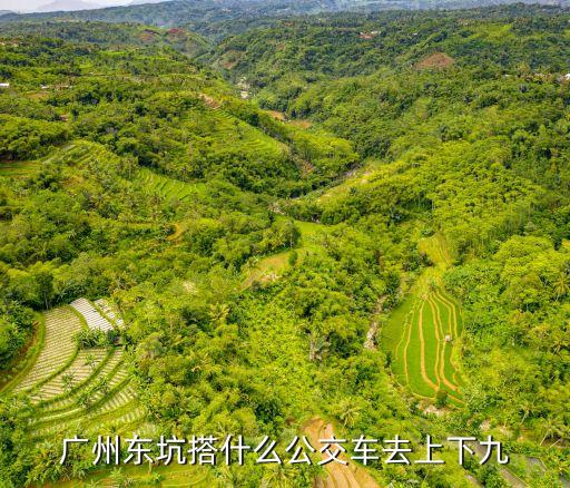 廣州東坑搭什么公交車去上下九