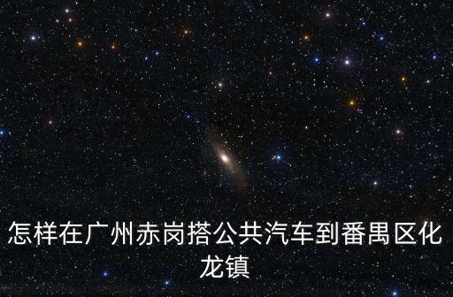怎樣在廣州赤崗搭公共汽車到番禺區化龍鎮