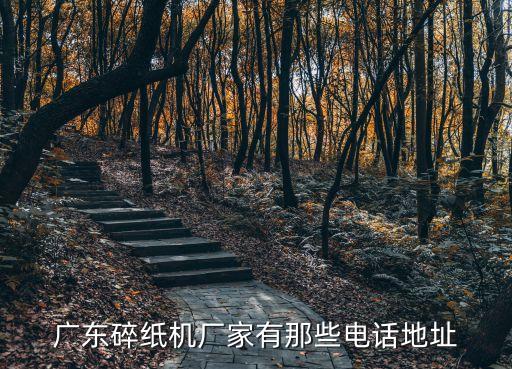 廣東碎紙機廠家有那些電話地址