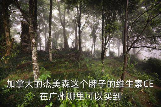 加拿大的杰美森這個牌子的維生素CE在廣州哪里可以買到