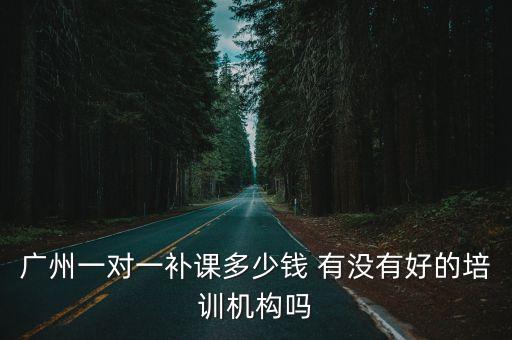 廣州罡的教育一對一價格，廣州一對一補課多少錢 有沒有好的培訓機構嗎