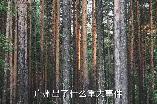 廣州今年發(fā)生什么新聞，廣州出了什么重大事件