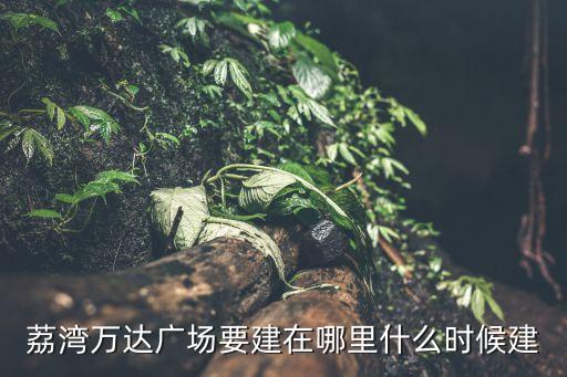 廣州萬達集團最新投資，在白云希爾頓酒店的萬達新品推介會推的是什么地產項目
