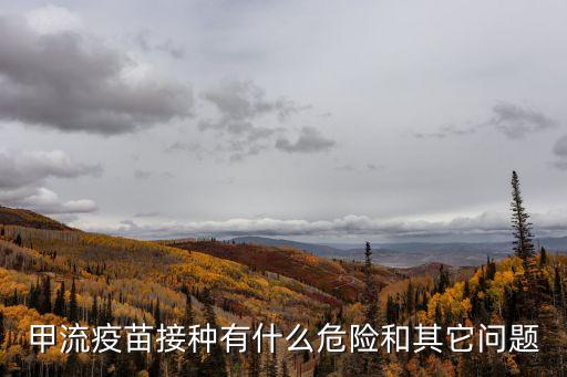 甲流疫苗接種有什么危險和其它問題