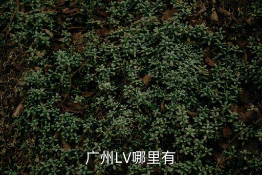 廣州LV哪里有