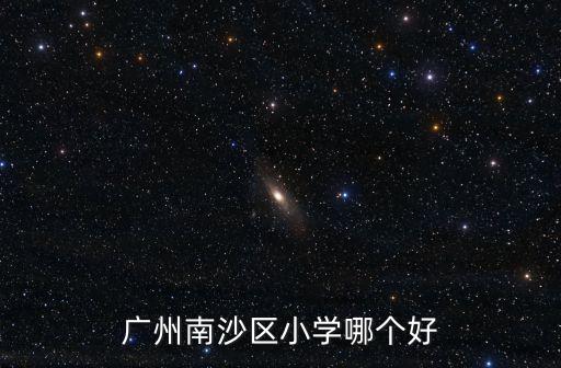 廣州南沙區小學哪個好