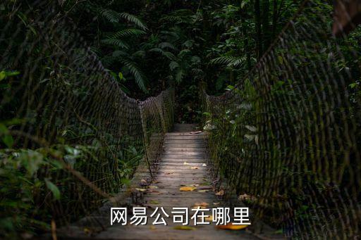 網易廣州海神工作室官網，網易公司在哪里