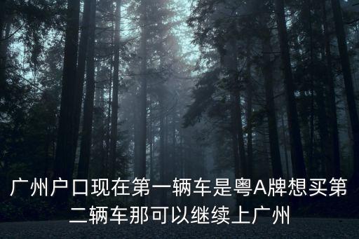廣州可以拍幾個廣州車牌，廣州名下有車可以競價拍賣來買車牌嗎