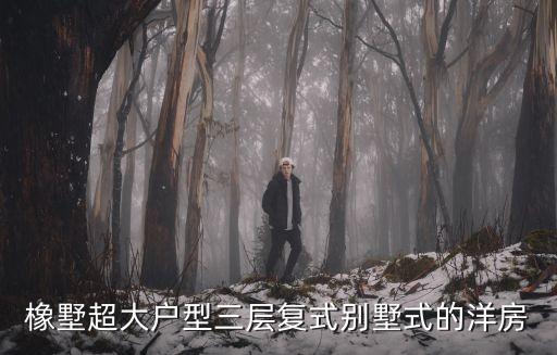 橡墅超大戶型三層復式別墅式的洋房