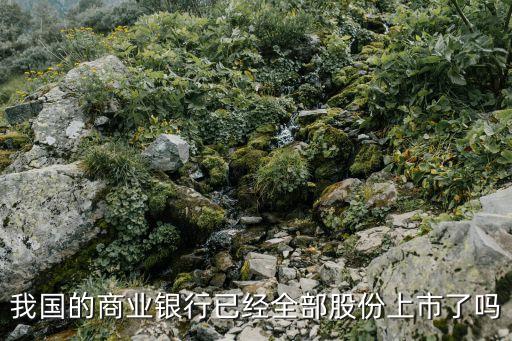 廣州商業銀行股票上市了嗎，我國的商業銀行已經全部股份上市了嗎