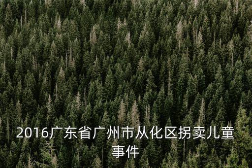 2016事件廣州，2016廣東省廣州市從化區拐賣兒童事件