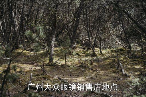 各地方醫療隊支援廣州，廣州大眾眼鏡銷售店地點