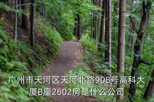 廣州市天河區天河北路908號高科大廈B座2602房是什么公司