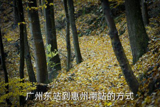 廣州高鐵東站到惠州，廣州東站到惠州南站的方式
