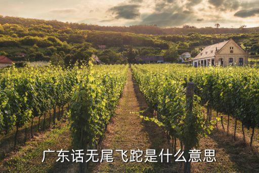 廣東話無尾飛跎是什么意思