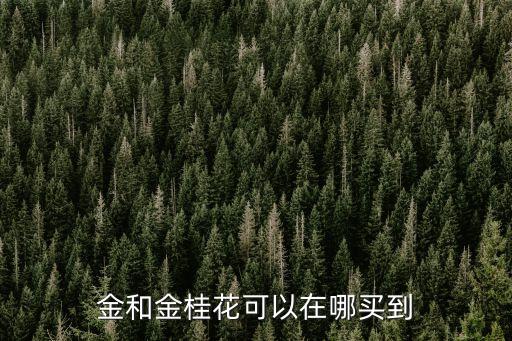 金和金桂花可以在哪買到