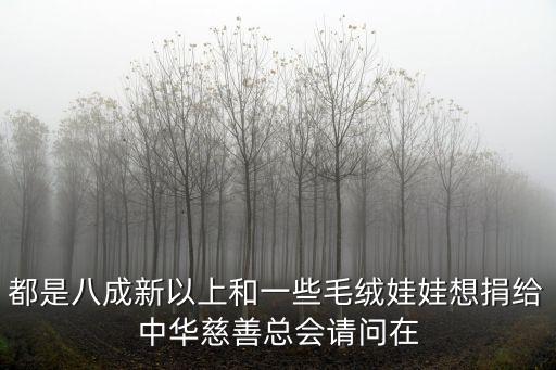都是八成新以上和一些毛絨娃娃想捐給中華慈善總會請問在