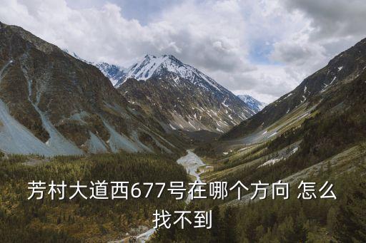 廣州芳村保利花園地址，芳村大道西677號在哪個方向 怎么找不到