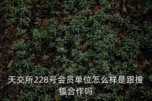 天交所228號會員單位怎么樣是跟搜狐合作嗎