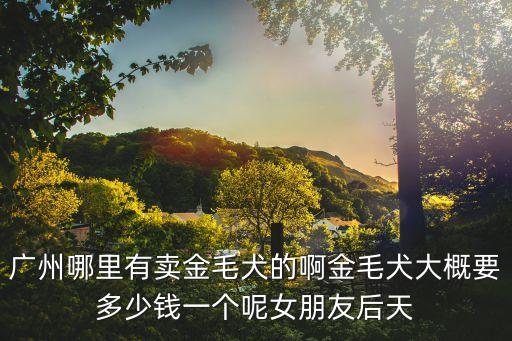 廣州哪里有金毛狗狗賣，廣州哪里有金毛犬買廣州哪里有賣金毛尋回犬