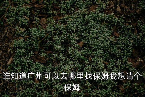 誰知道廣州可以去哪里找保姆我想請個保姆