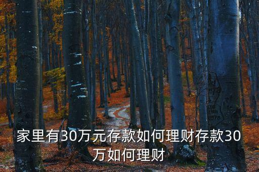 廣州家庭存款30萬，家有存款30萬應該怎么理財